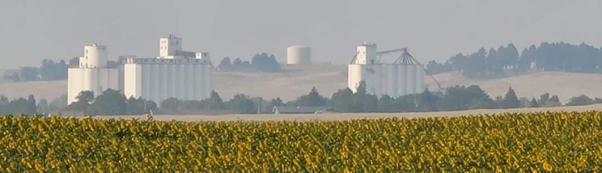 Farmers Coop Homepage